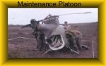 Maintenance
